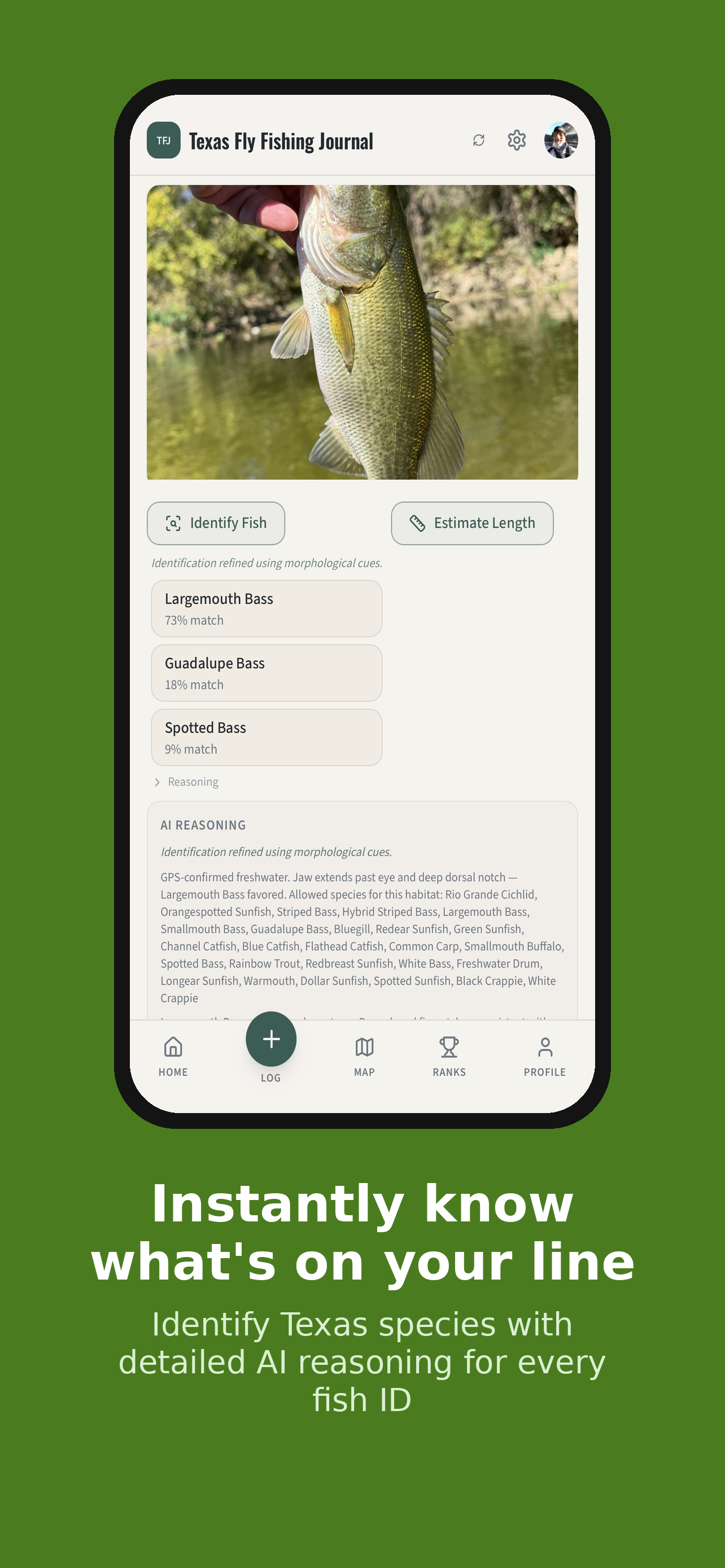 AI fish identification